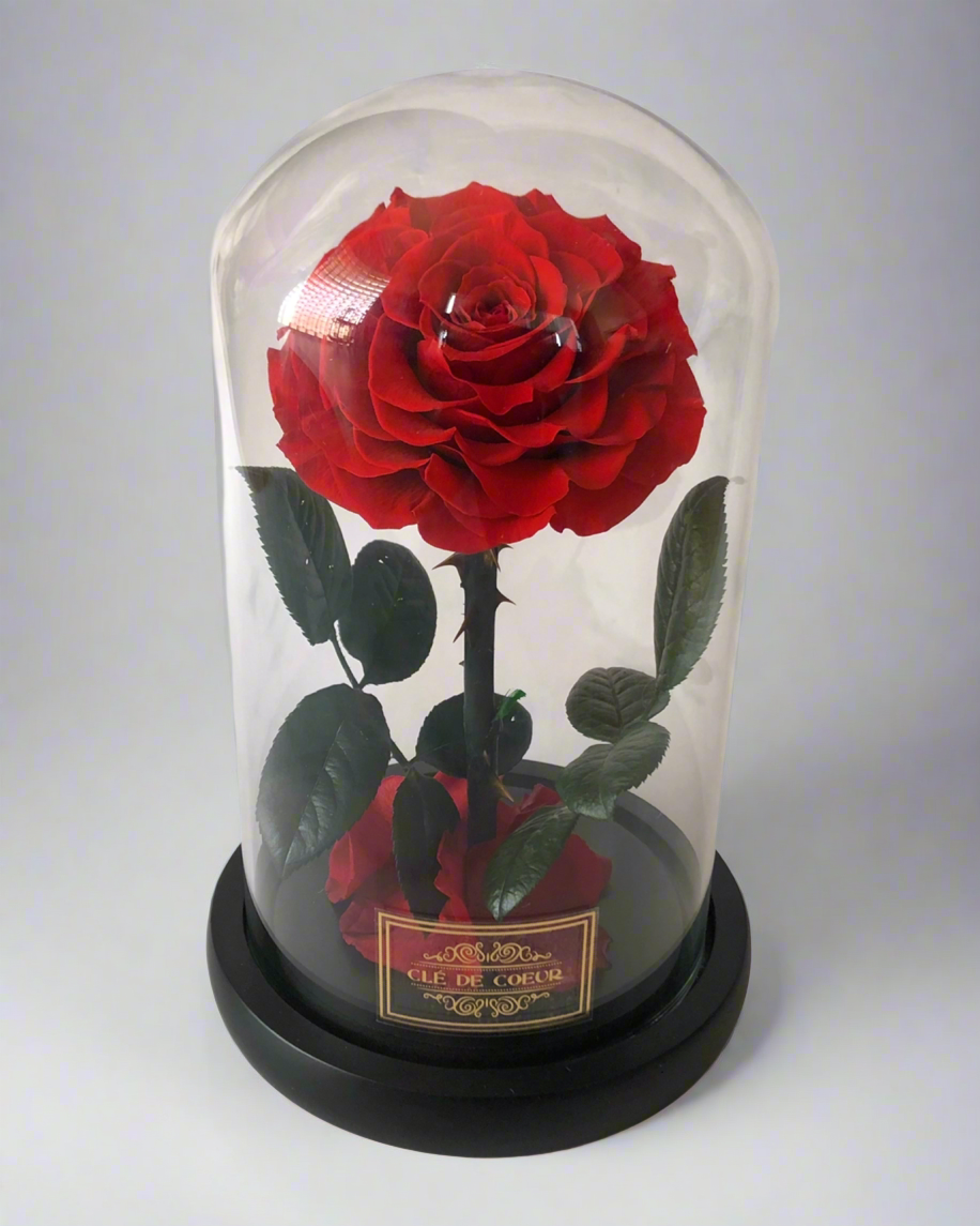 Belle’s Eternal Rose - Clé de Coeur