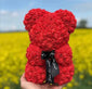 Baby Rose Bear - Clé de Coeur