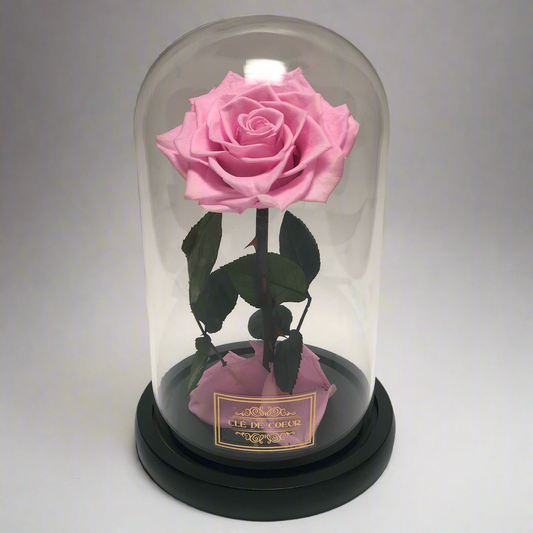 Belle’s Eternal Rose - Clé de Coeur