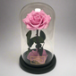 Belle’s Eternal Rose - Clé de Coeur