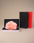 Blooming Ring Holder - Clé de Coeur