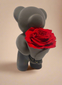 Bear N’ Rose