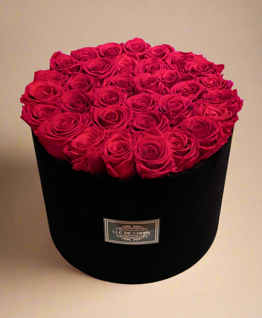 Black Velvet Preserved Roses - Clé de Coeur