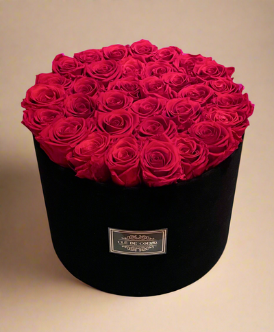 Black Velvet Preserved Roses