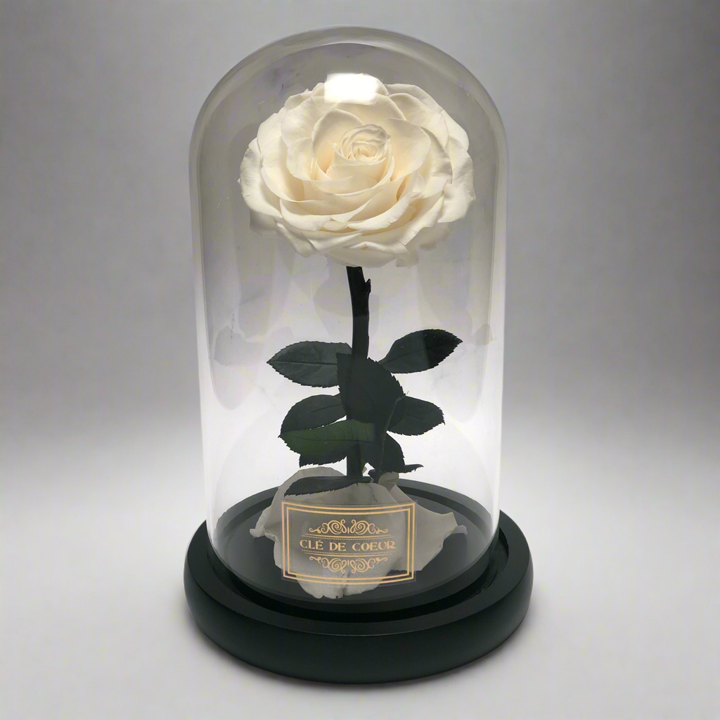 Belle’s Eternal Rose - Clé de Coeur