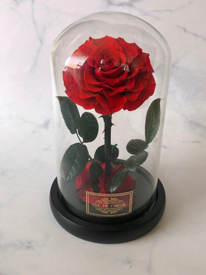 Large Enchanted Rose - Clé de Coeur