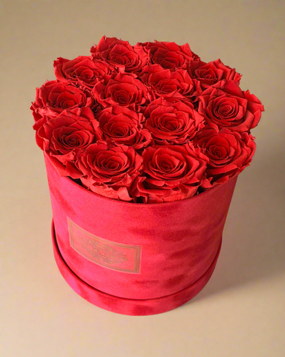 Red Velvet Preserved Roses - Clé de Coeur