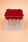 Clear Preserved Rose Box - Clé de Coeur