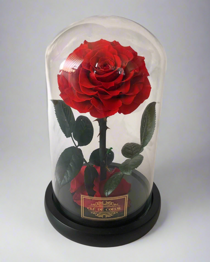 Belle’s Eternal Rose - Clé de Coeur