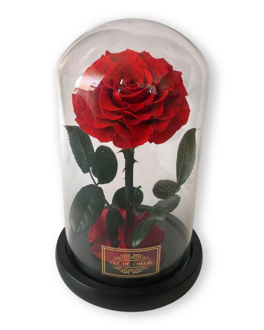 Belle’s Eternal Rose - Clé de Coeur