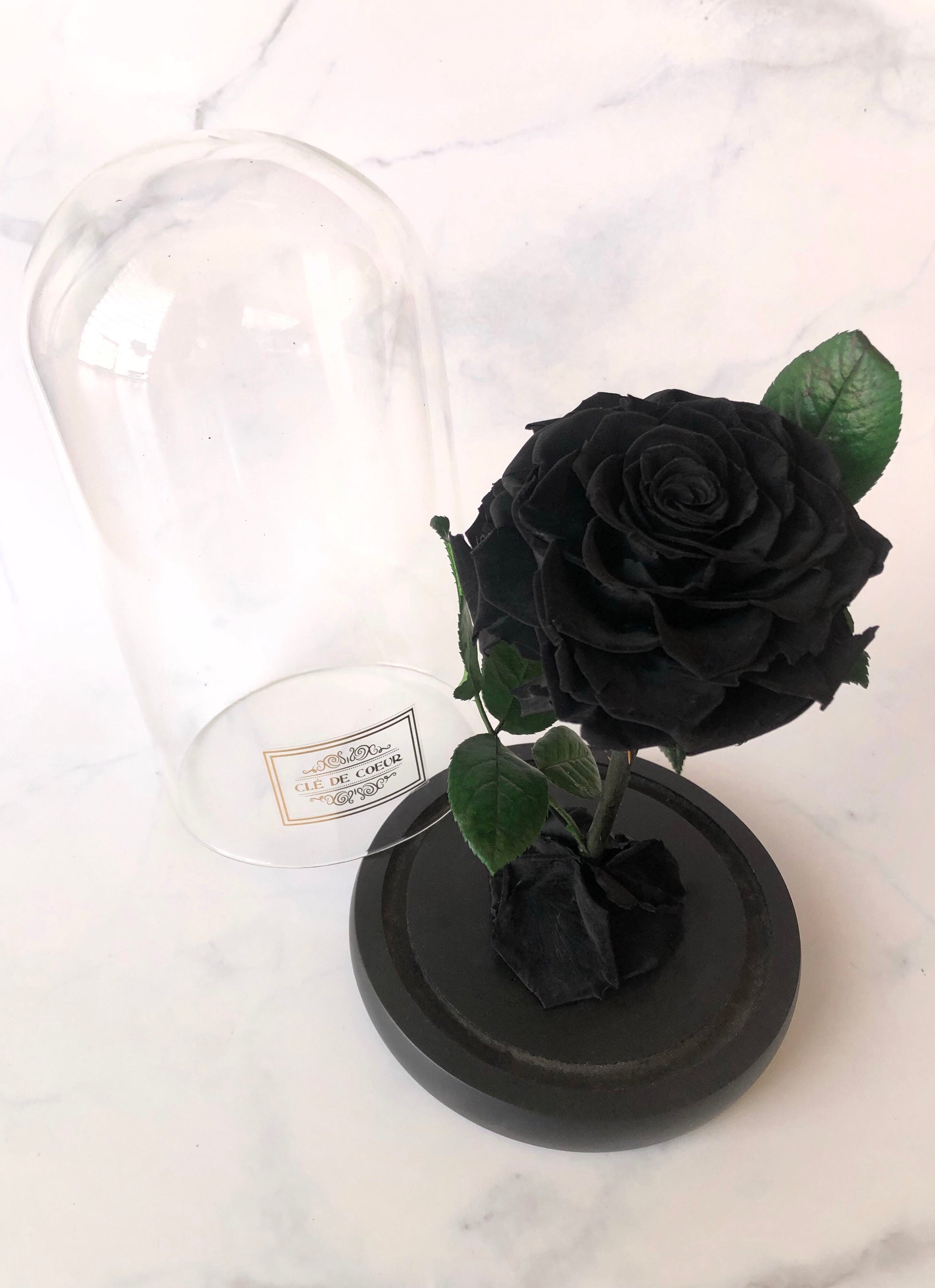 Large Enchanted Rose - Clé de Coeur