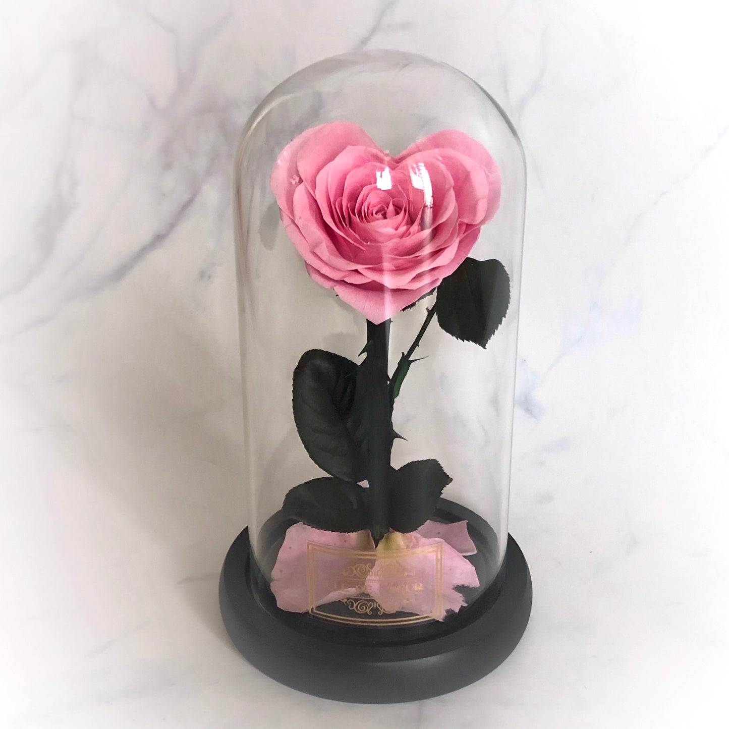 Large Enchanted Rose - Clé de Coeur