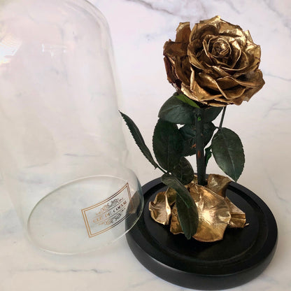 Large Enchanted Rose - Clé de Coeur